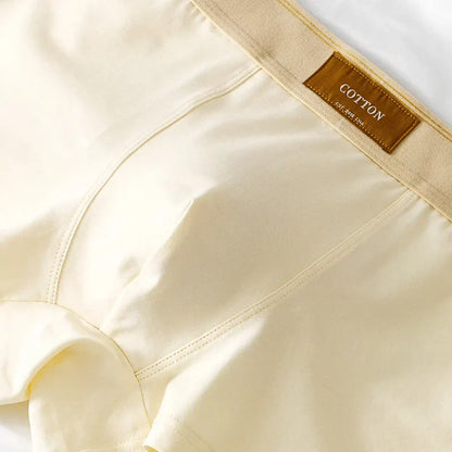 Andningsbara läckagesäkra boxershorts för män (paket med 5) - Fynn